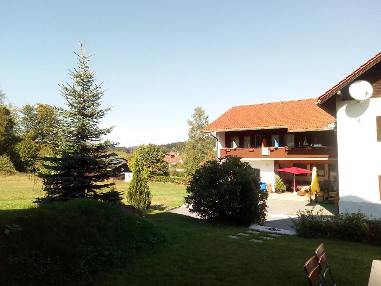 Pension Waldblick Spiegelau Exterior foto